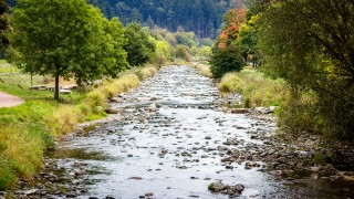 Ein Fluss mit grünem Ufer.