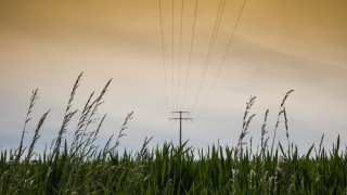 Strommast auf einem Feld
